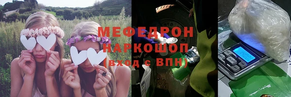 прущие грибы Няндома