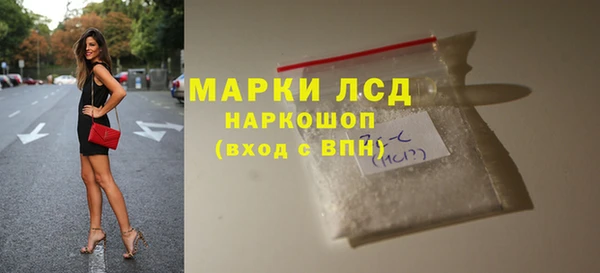 прущие грибы Няндома