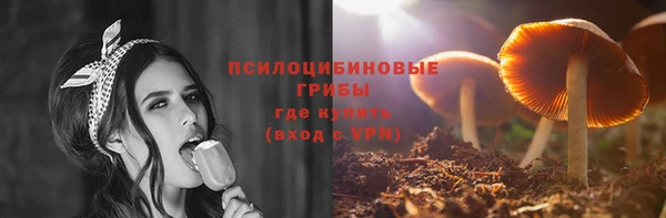 прущие грибы Няндома
