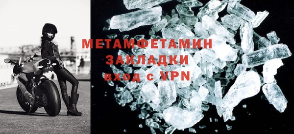 прущие грибы Няндома