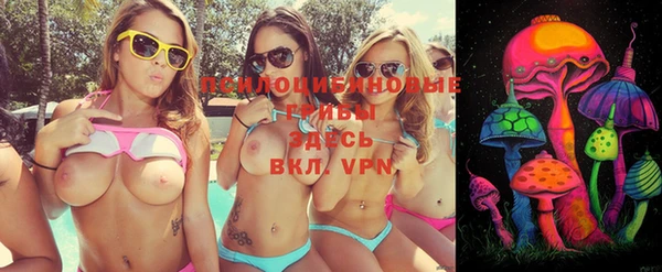 прущие грибы Няндома