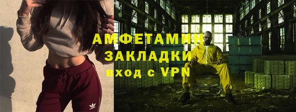прущие грибы Няндома