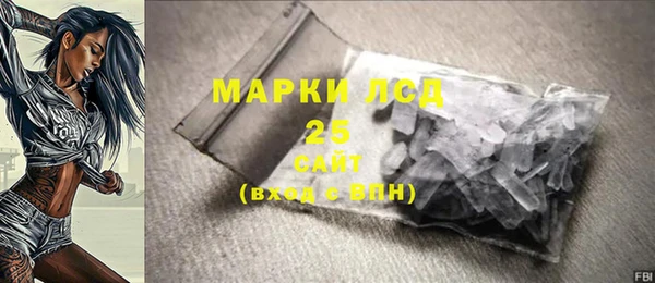 прущие грибы Няндома