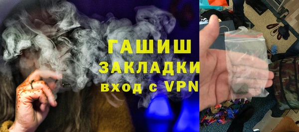 прущие грибы Няндома
