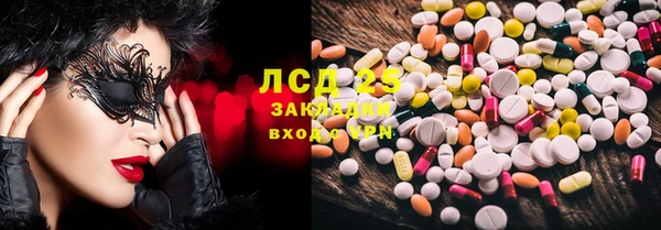 прущие грибы Няндома