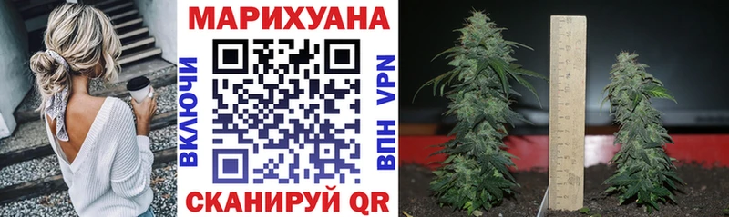 Конопля семена  Суровикино 